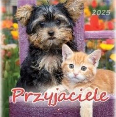 Opakowanie Kalendarz 2025 wieloplanszowy Przyjaciele