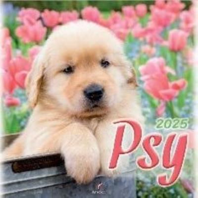 Opakowanie Kalendarz 2025 wieloplanszowy Psy