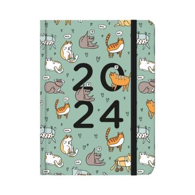 Opakowanie Kalendarz codzienny 2024 B6 Koty ALBI