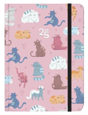 Opakowanie Kalendarz codzienny B6 Koty ALBI