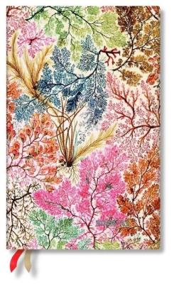 Opakowanie Kalendarz książkowy maxi 2022/2023 18M Anemone