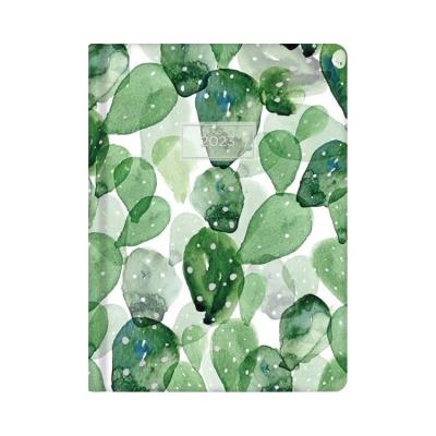 Opakowanie Kalendarz tygodniowy 2023 Zielone kaktusy ALBI