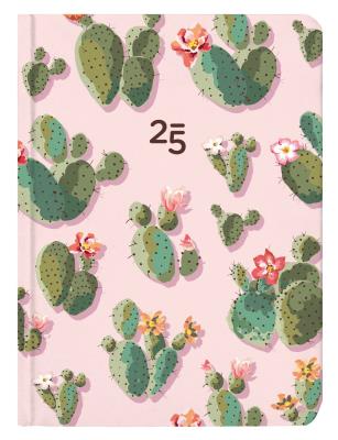 Opakowanie Kalendarz tygodniowy B6 Kaktusy ALBI