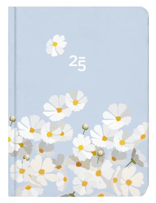 Opakowanie Kalendarz tygodniowy B6 Stokrotki ALBI