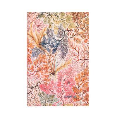 Opakowanie Kalendarz tygodniowy maxi 24/25 Anemone