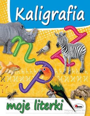 Okładka książki Kaligrafia moje literki