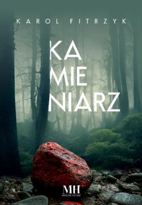 Kamieniarz. Autor: Karol Fitrzyk. SmakLiter.pl Okładka książki Kamieniarz