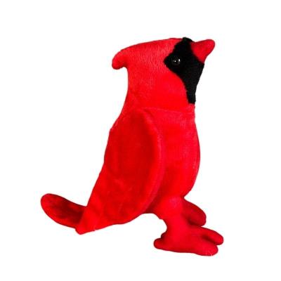 Opakowanie Kardynał czerwony 16cm