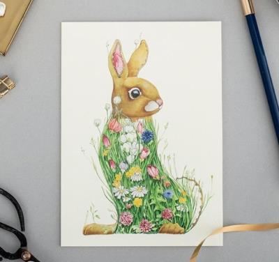 Karnet A082 B6 + koperta Królik na łące. Wydawca: DM Collection. SmakLiter.pl Opakowanie Karnet A082 B6 + koperta Królik na łące