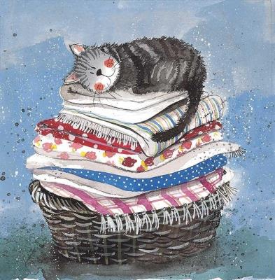 Opakowanie Karnet AC329 Kot na koszu z praniem