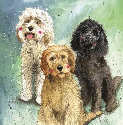 Opakowanie Karnet AC745 Psy Cockapoo