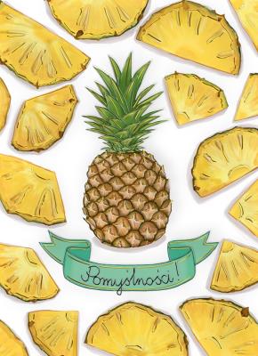 Opakowanie Karnet B6 Ananasy