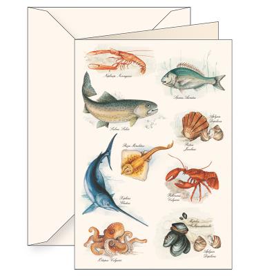 Opakowanie Karnet B6 koperta 5609 Morze