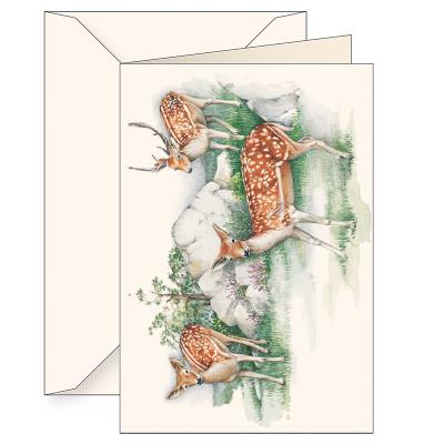 Opakowanie Karnet B6 koperta 6106 Jelonki