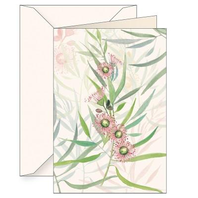 Opakowanie Karnet B6 + koperta 6123 Eukaliptus kamaldulski