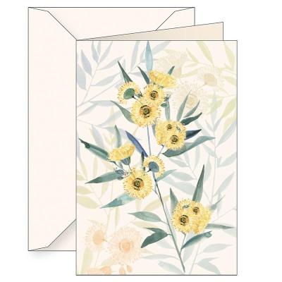 Opakowanie Karnet B6 + koperta 6124 Eukaliptus gałkowy