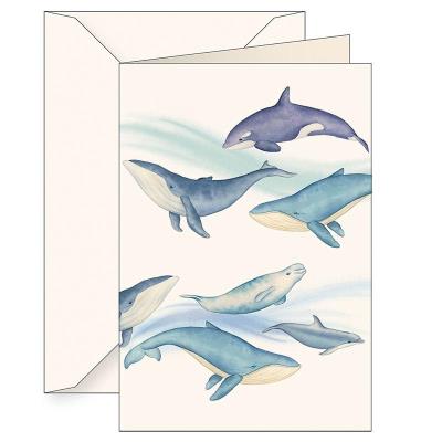 Opakowanie Karnet B6 + koperta 6144 Ssaki morskie