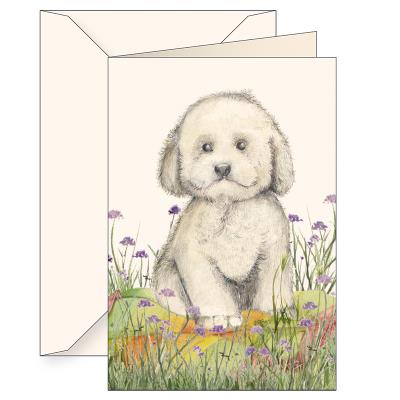 Opakowanie Karnet B6 koperta 6180 Pudel