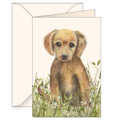 Opakowanie Karnet B6 koperta 6181 Brązowy szczeniak