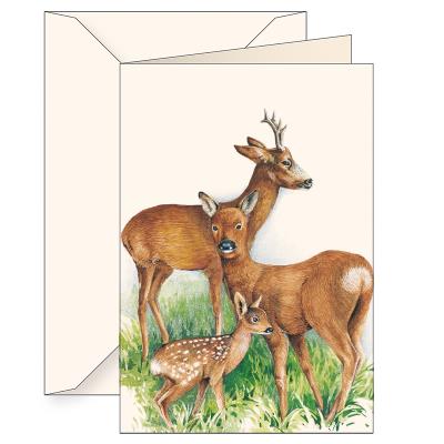 Opakowanie Karnet B6 koperta 7509 Jelonki