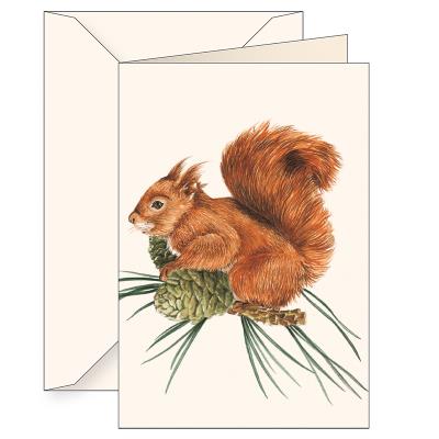 Opakowanie Karnet B6 koperta 8978 Wiewiórka