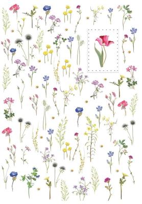 Opakowanie Karnet B6 + koperta MO5083 Kwiaty