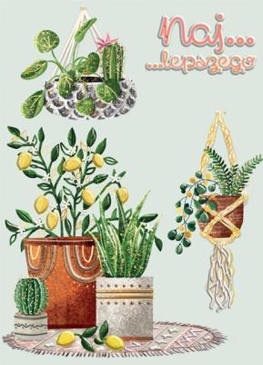 Karnet B6 Kwiaty doniczkowe. Wydawca: Henry. SmakLiter.pl Opakowanie Karnet B6 Kwiaty doniczkowe