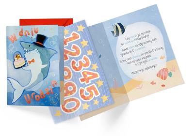 Opakowanie Karnet B6 Urodziny dziecięce (wymienne cyfry)