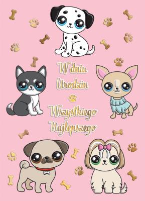 Karnet B6 Urodziny - Pieski. Wydawca: Henry. SmakLiter.pl Opakowanie Karnet B6 Urodziny - Pieski