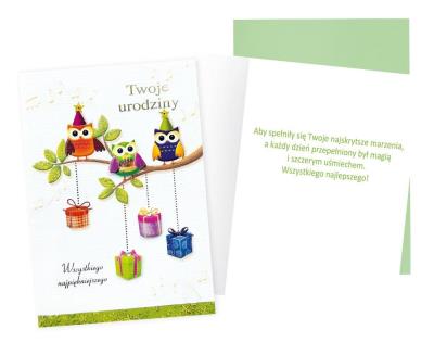 Okładka książki Karnet B6 Urodziny (sowy)