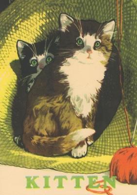 Opakowanie Karnet B6 z kopertą Dwa kotki