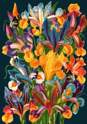 Opakowanie Karnet B6 z kopertą Irysy nocą