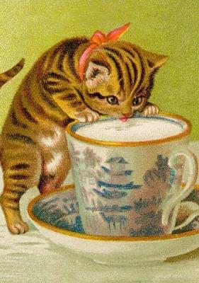 Opakowanie Karnet B6 z kopertą Kot pijący mleko