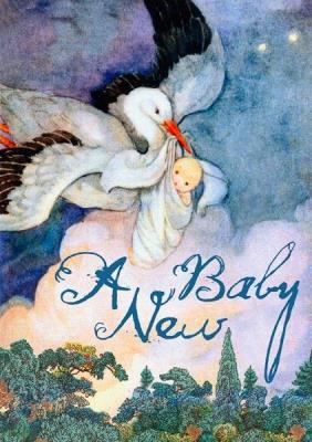 Opakowanie Karnet B6 z kopertą Narodziny Bocian