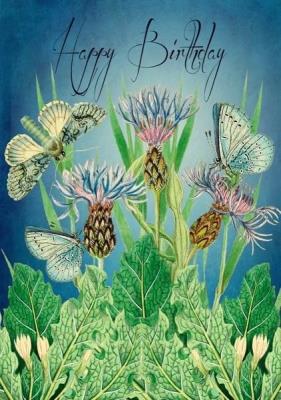 Opakowanie Karnet B6 z kopertą Urodziny Ogród