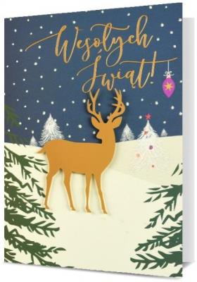 Opakowanie Karnet Boże Narodzenie