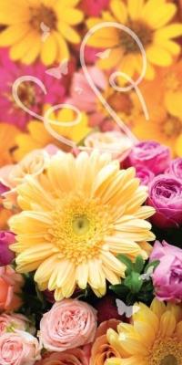 Opakowanie Karnet DL Uniwersalny