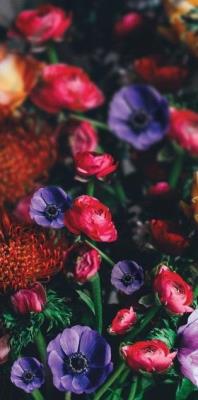 Opakowanie Karnet DL Uniwersalny