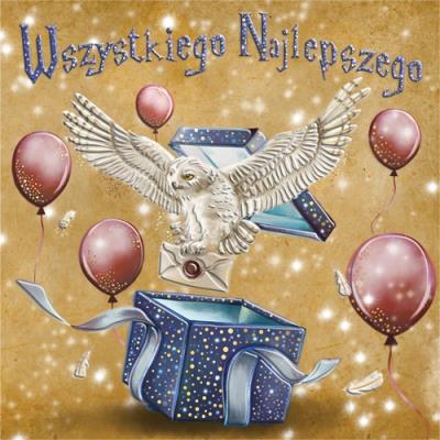 Karnet KW Biała Sowa. Wydawca: Henry. SmakLiter.pl Opakowanie Karnet KW Biała Sowa