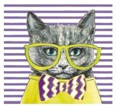 Opakowanie Karnet KW Kot seledyn