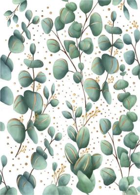 Opakowanie Karnet mini B8 Eukaliptus