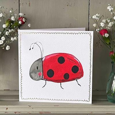 Opakowanie Karnet S518 Biedronka