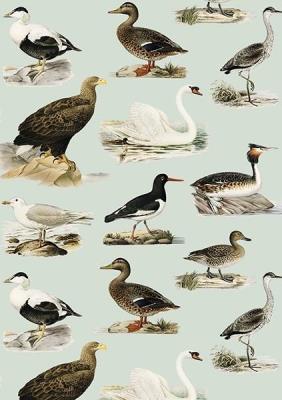 Opakowanie Karnet ST408 B6 + koperta Ptaki