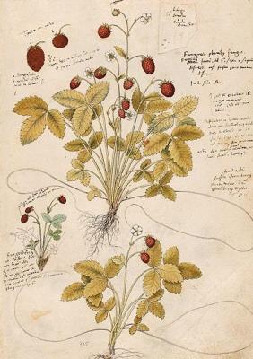 Opakowanie Karnet ST410 B6 + koperta Poziomka