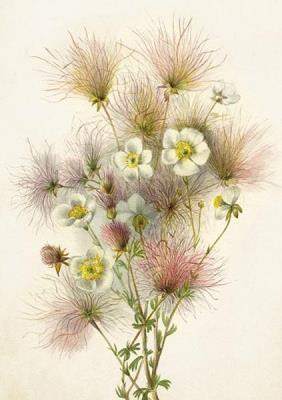 Opakowanie Karnet ST416 B6 + koperta Bukiet kwiatów