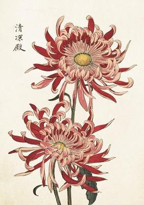 Opakowanie Karnet ST419 B6 + koperta Chryzantema