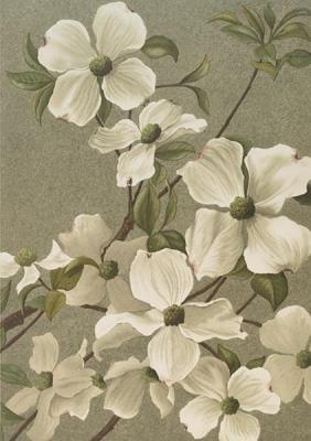 Opakowanie Karnet ST427 B6 + koperta Dereń