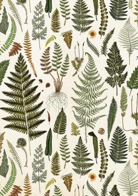 Opakowanie Karnet ST428 B6 + koperta Paprotki