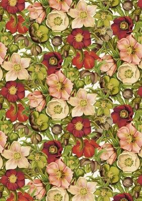 Opakowanie Karnet ST439 B6 + koperta Ciemiernik