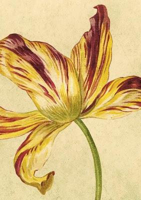 Opakowanie Karnet ST444 B6 + koperta Żółty tulipan